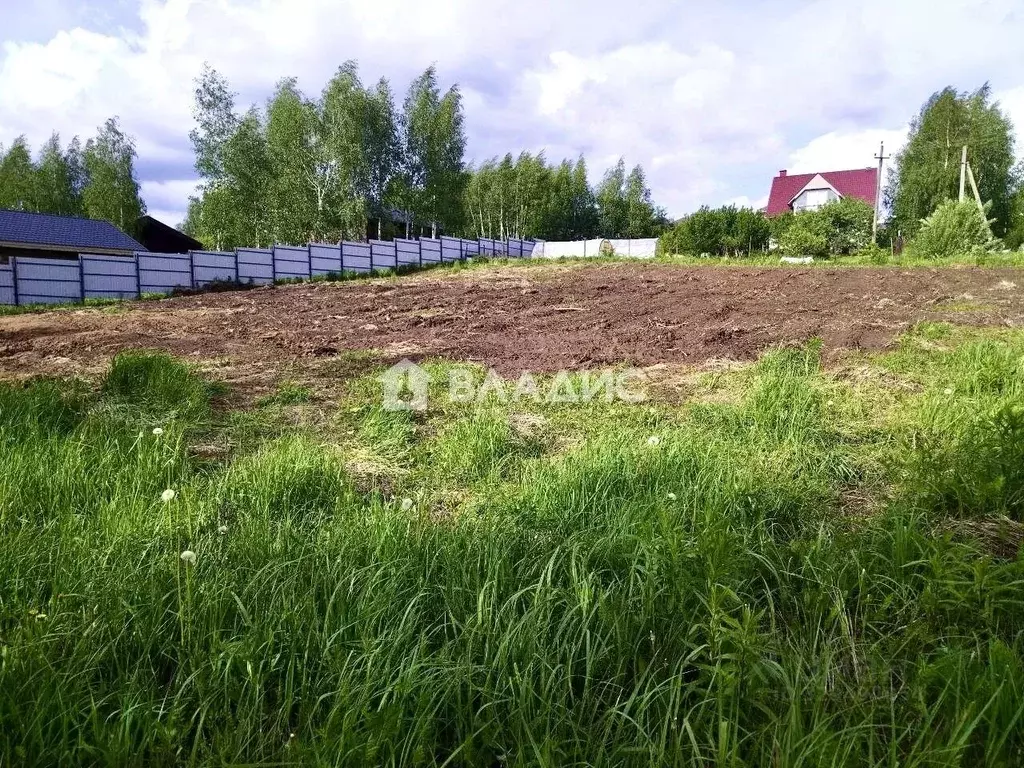 Участок в Нижегородская область, Богородский муниципальный округ, ... - Фото 2