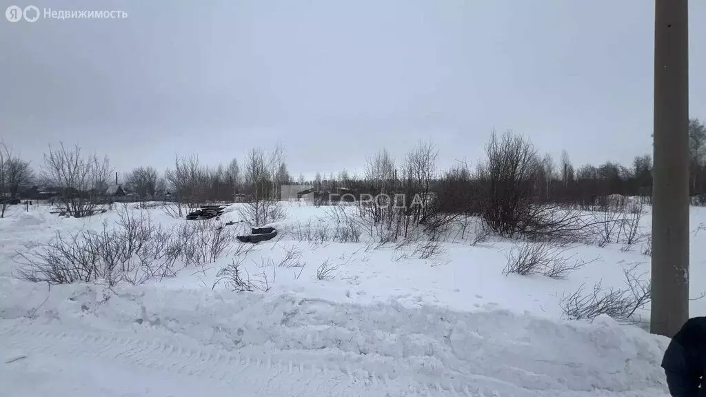 Участок в Первомайский район, СНТ Новогорское, 4-я линия (12 м) - Фото 2