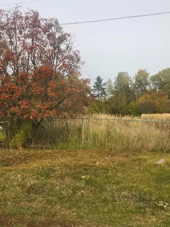 Участок в Рязанская область, Шиловский район, с. Тырново ул. Ловецкая, ... - Фото 1