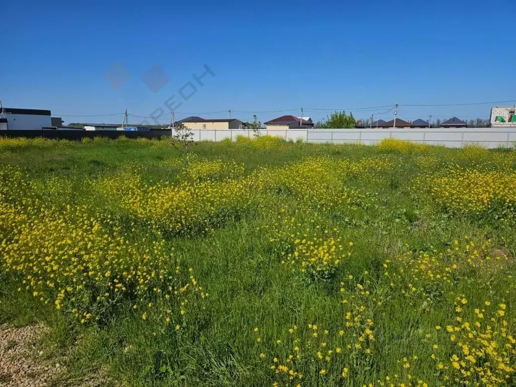 Участок в Краснодарский край, Краснодар Старокорсунская ст-ца, ул. ... - Фото 0