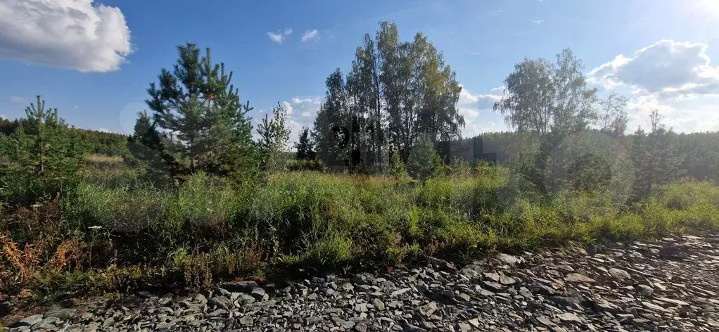 Участок 8,1 сот. (СНТ, ДНП) - Фото 0