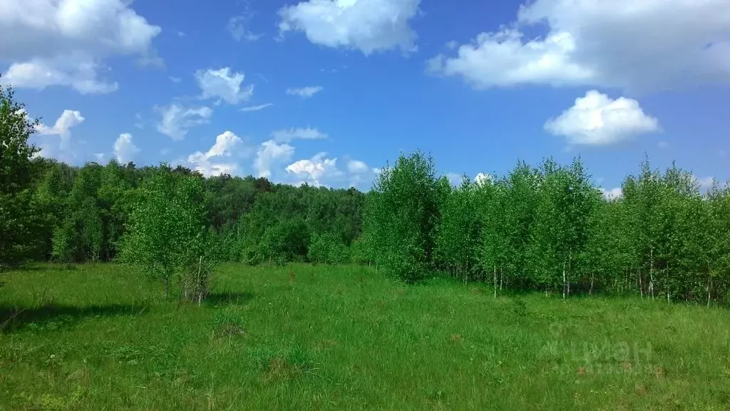 Участок в Калужская область, Тарусский муниципальный округ, Некрасово ... - Фото 1