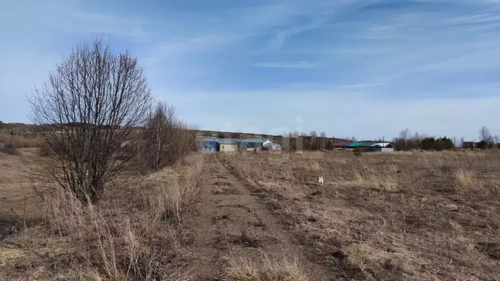 Участок в Татарстан, Высокогорский район, Дубъязское с/пос, с. Дубъязы ... - Фото 0