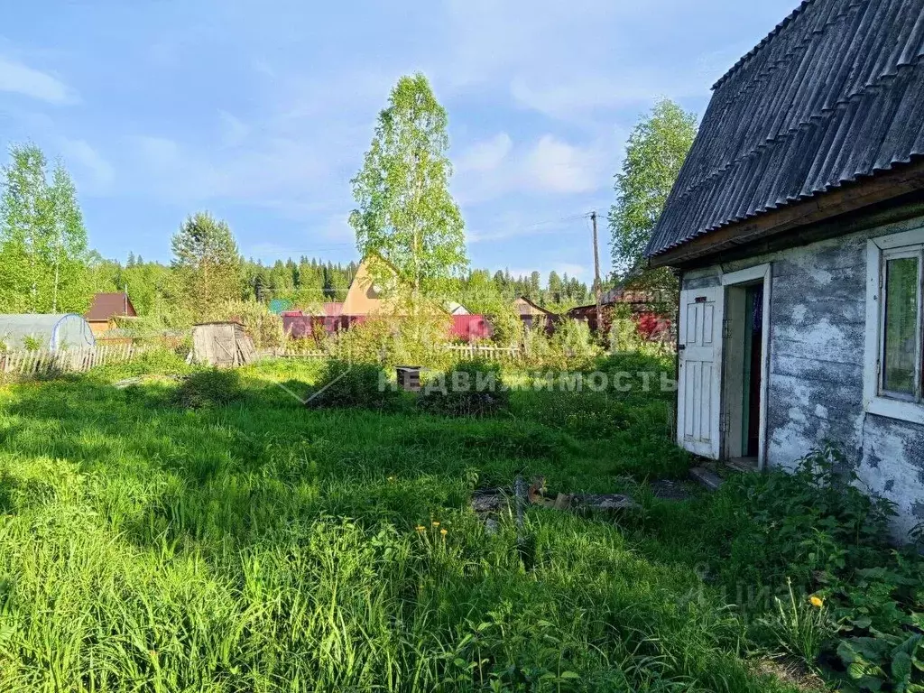 Участок в Кемеровская область, Междуреченск Брусничка дп, 132 (8.0 ... - Фото 0