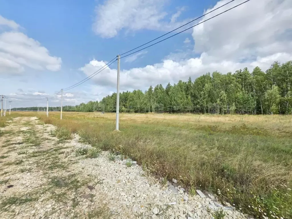 Участок в Татарстан, Лаишевский район, Егорьевское с/пос, д. Каипы ул. ... - Фото 2
