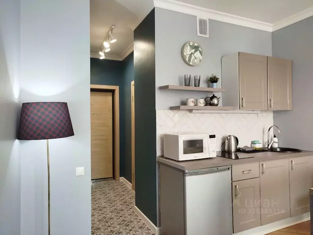 1-к кв. Московская область, Щелково ул. Чкаловская, 4 (29.0 м) - Фото 2