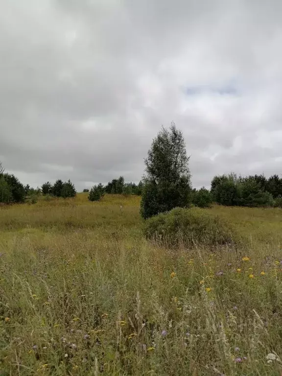 Участок в Тверская область, Конаковский муниципальный округ, д. Елдино ... - Фото 1
