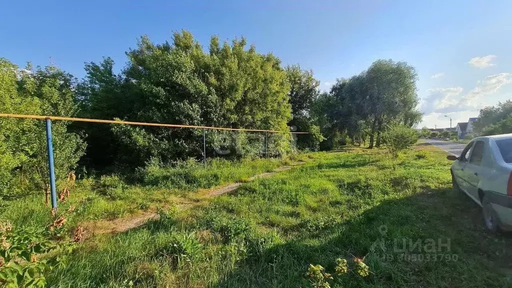 Участок в Белгородская область, Волоконовка рп ул. Октябрьская (13.0 ... - Фото 0