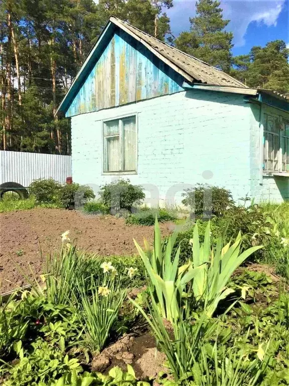 Дом в Брянская область, Сельцо ул. Мейпариани (9 м) - Фото 0