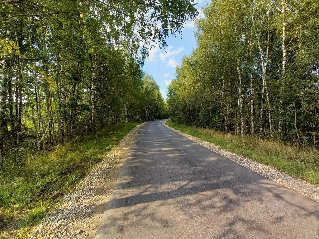 Участок в Московская область, Дмитровский городской округ, д. Новинки  ... - Фото 1