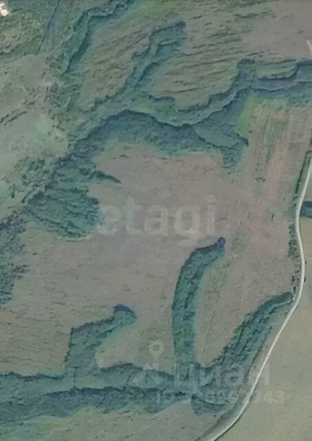 Участок в Калужская область, Ульяново с/пос, с. Медынцево  (3554.62 ... - Фото 1