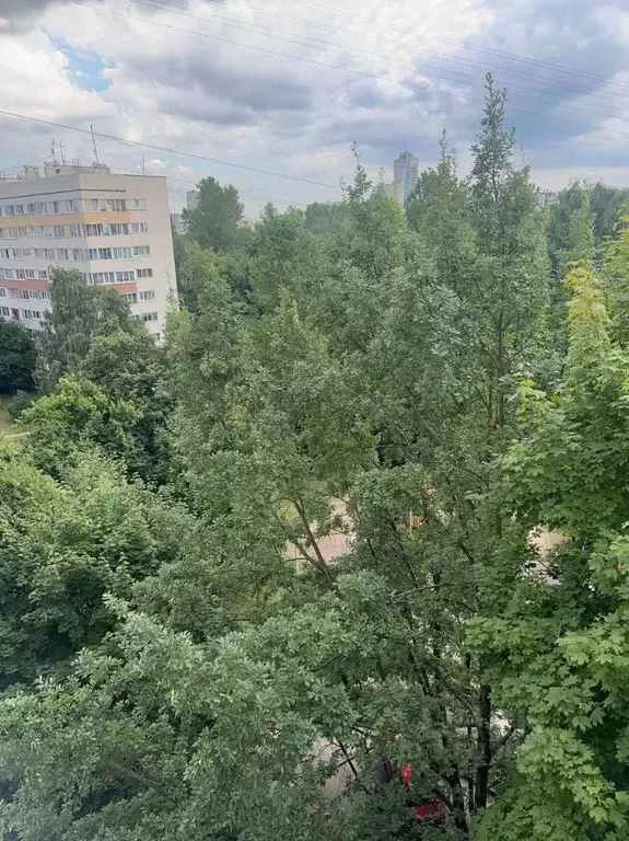 3-к кв. Санкт-Петербург Дачный просп., 9К2 (59.7 м) - Фото 2