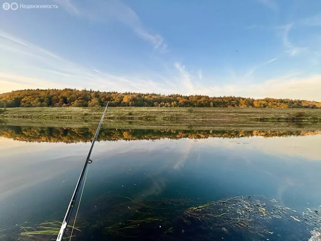 Участок в Калужская область, Дзержинский муниципальный округ, сельское ... - Фото 1
