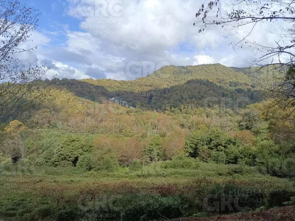 Участок в Краснодарский край, Сочи городской округ, с. Варваровка пер. ... - Фото 2