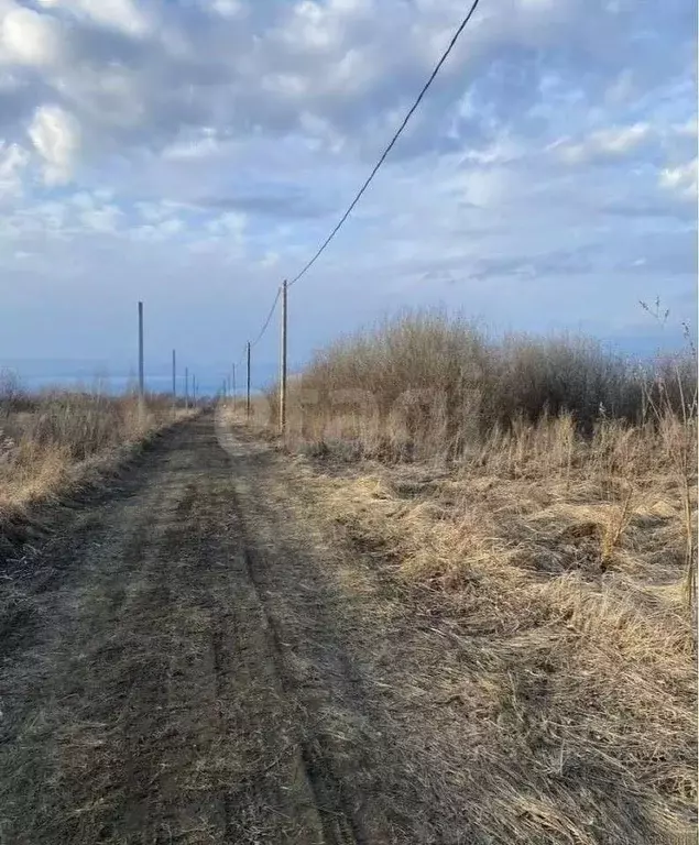 Участок в Тюменская область, Тюмень Большое Царево-1 СНТ,  (9.8 сот.) - Фото 1