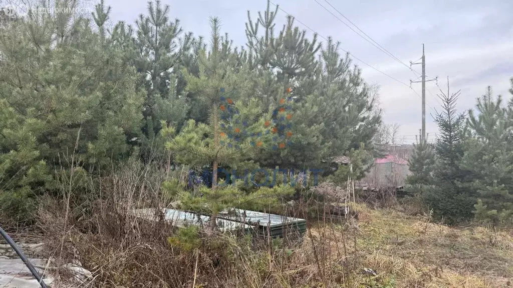 Участок в Москва, НАО, район Внуково, квартал № 61 (500 м) - Фото 1