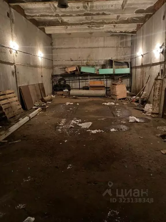 Помещение свободного назначения в Татарстан, Нижнекамск просп. ... - Фото 2