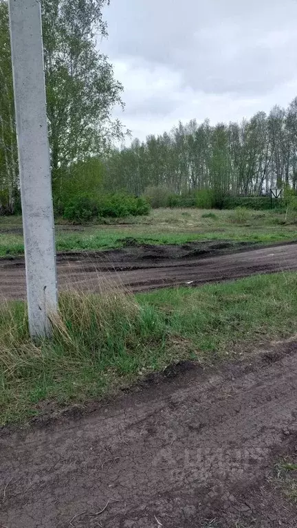 Участок в Омская область, Омский район, Пушкинское с/пос  (8.0 сот.) - Фото 0