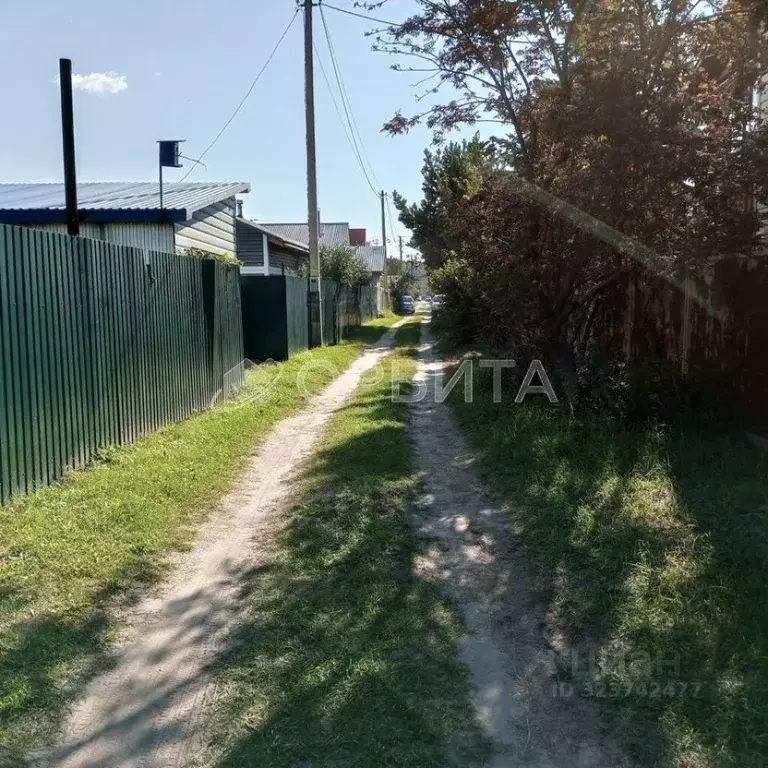 Участок в Тюменская область, Тюменский муниципальный округ, Ясная ... - Фото 1