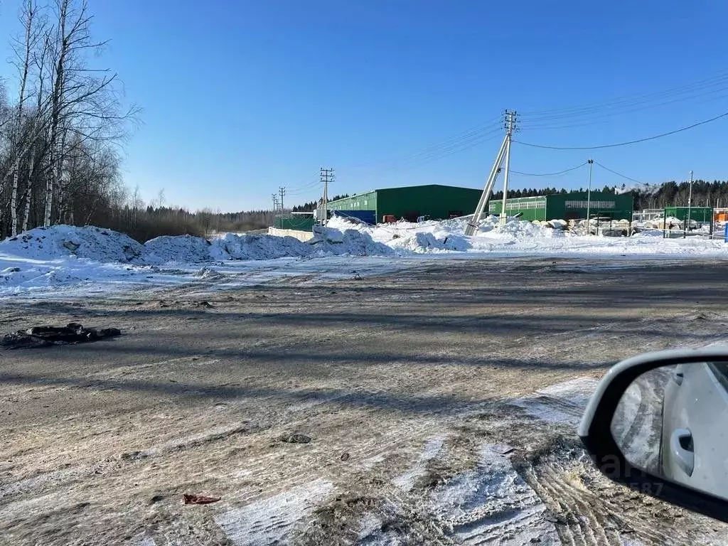 Участок в Московская область, Клин городской округ, д. Новощапово  ... - Фото 1