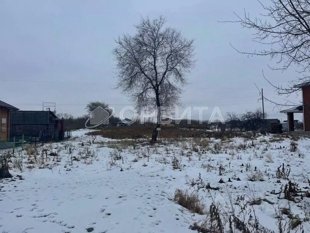 Участок в Тюменская область, Тюменский район, с. Луговое ул. Коклягина ... - Фото 1