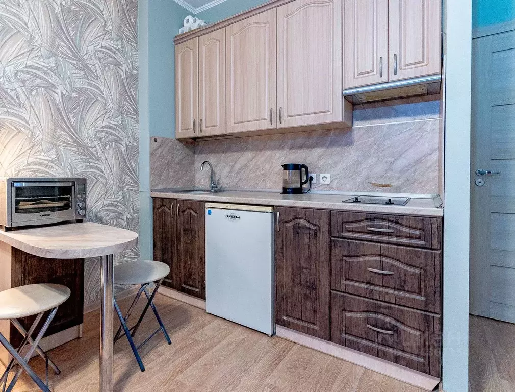 Студия Санкт-Петербург ул. Адмирала Черокова, 18к1 (24.1 м) - Фото 1