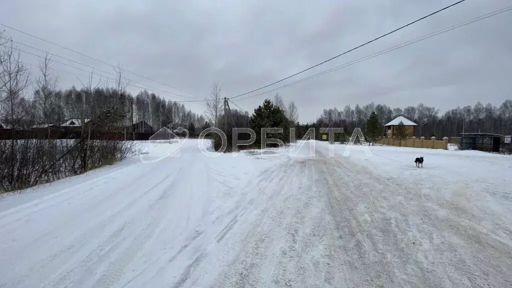 Участок в Тюменская область, Тюменский муниципальный округ, с. ... - Фото 2