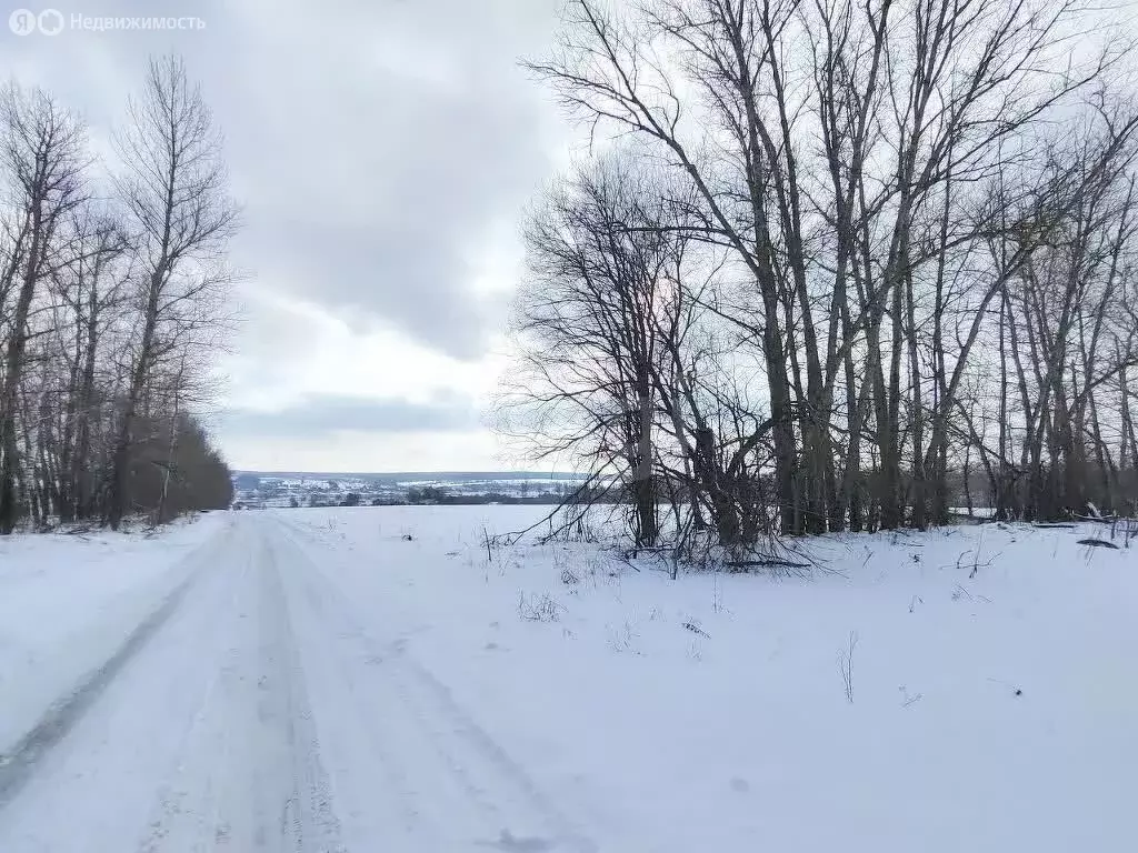 Участок в Тульская область, муниципальное образование Тула, село ... - Фото 1