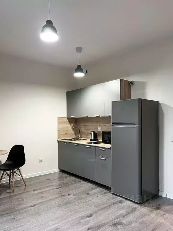 Студия Ленинградская область, Всеволожский район, Свердловское ... - Фото 1