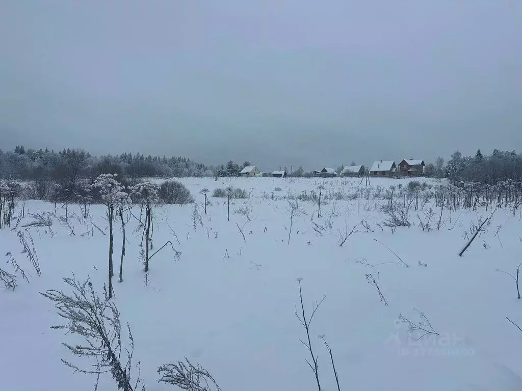 Участок в Московская область, Рузский муниципальный округ, д. Редькино ... - Фото 1