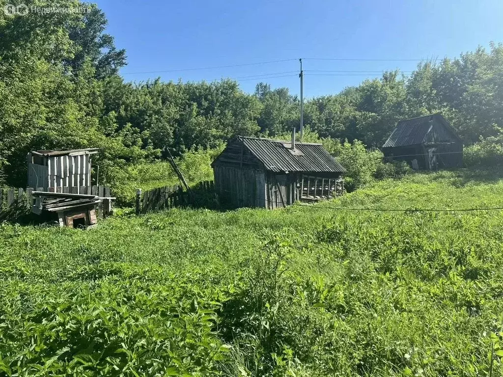 Дом в село Красный Яр, улица Емельяновых (58.4 м) - Фото 1
