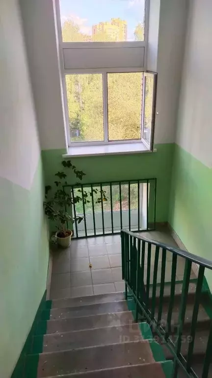 2-к кв. Московская область, Лосино-Петровский городской округ, ... - Фото 1