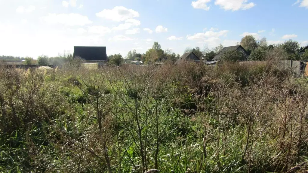 Участок в Московская область, Рузский муниципальный округ, д. Неверово ... - Фото 2