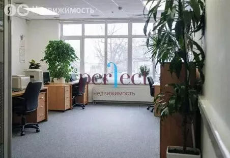 Офис (80.5 м) - Фото 2