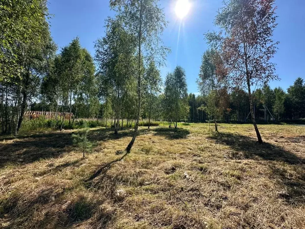 Участок в Московская область, Домодедово городской округ, д. Овчинки  ... - Фото 1
