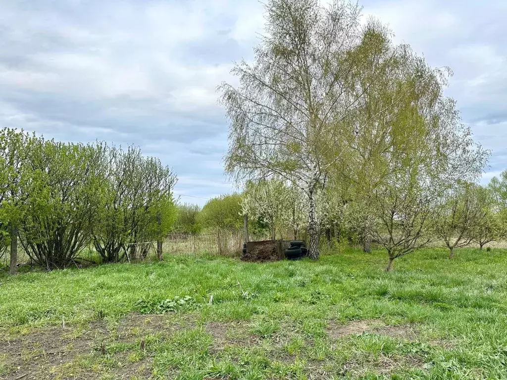 Участок в Тульская область, Тула городской округ, д. Ямны  (7.6 сот.) - Фото 2