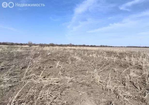 Участок в Краснодарский край, Ейск (6 м) - Фото 1