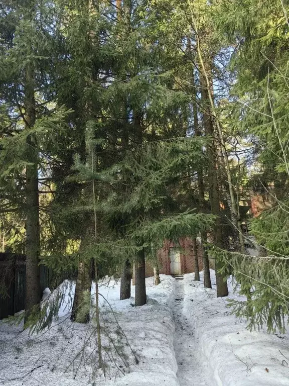 Участок в Московская область, Одинцовский городской округ, д. Сивково, ... - Фото 1