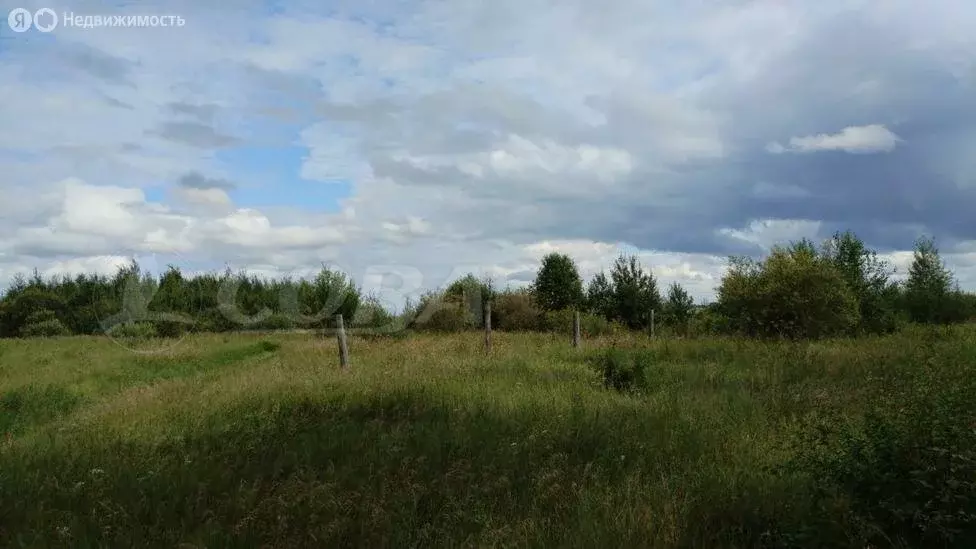 Участок в Тугулымский городской округ, село Лучинкино (12 м) - Фото 0