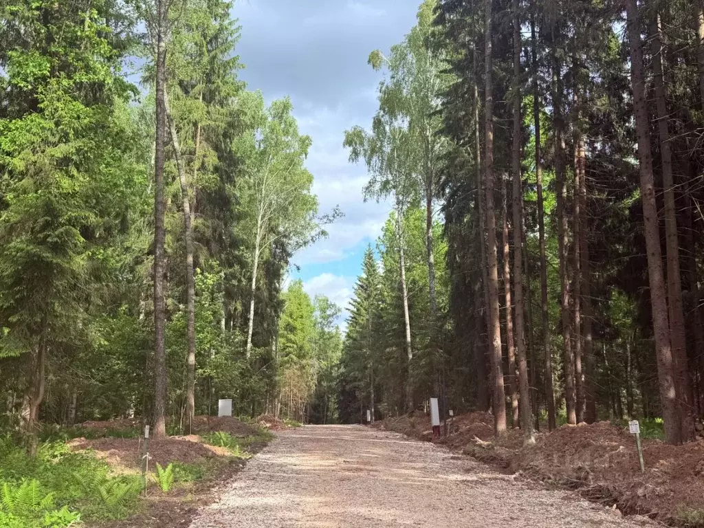Участок в Московская область, Звенигород Одинцовский городской округ, ... - Фото 1