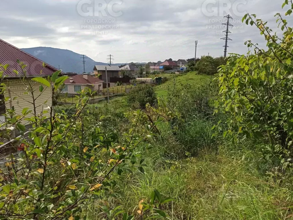 Участок в Краснодарский край, Сочи городской округ, с. Красная Воля  ... - Фото 0