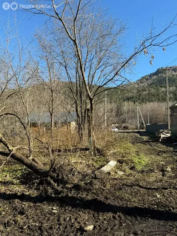 Участок в Майминский район, Р-256 Чуйский тракт, 488-й километр (10 м) - Фото 2