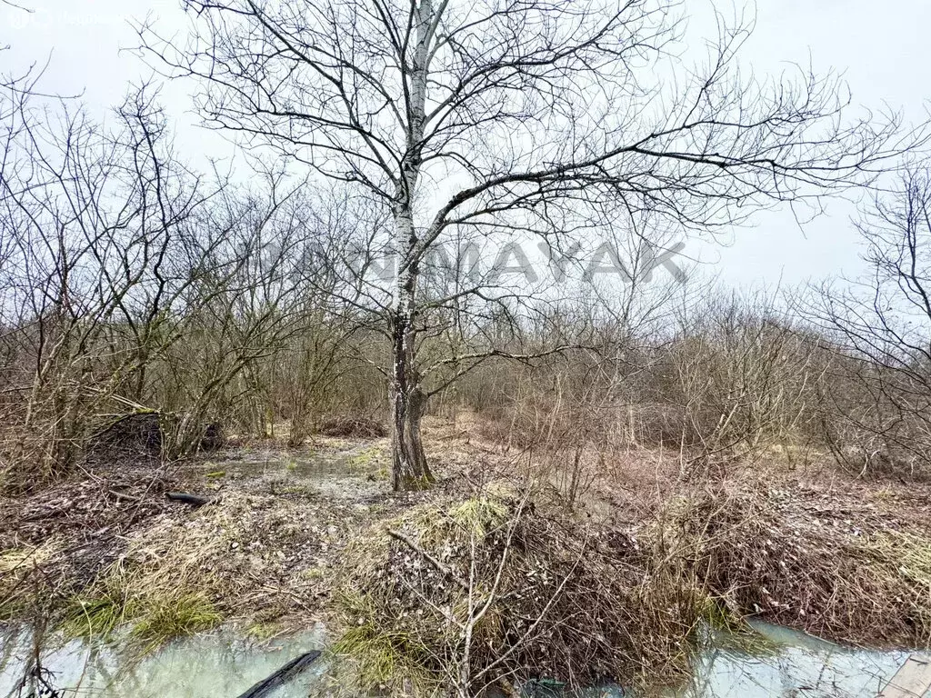 Участок в станица Курджипская, Подлесная улица (15 м) - Фото 2