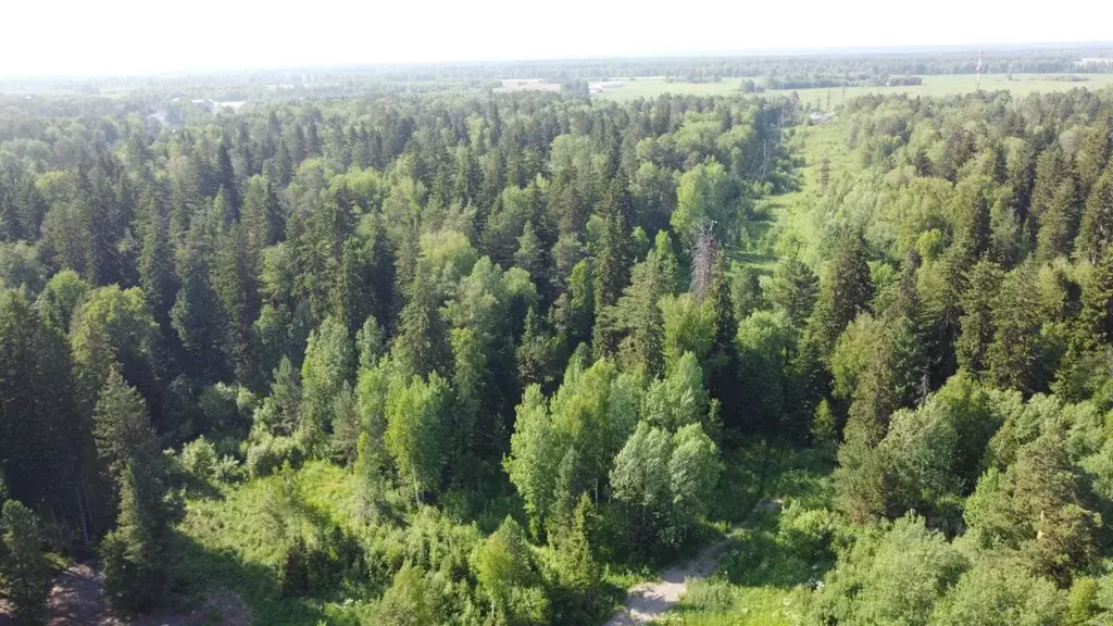 Участок в Томская область, Томский район, д. Кандинка ул. Ясная (5.0 ... - Фото 0