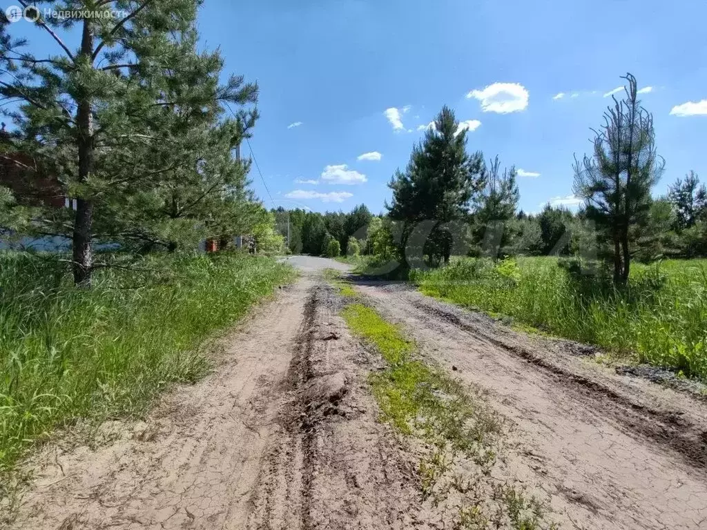 Участок в Тюменский район, деревня Дударева (12 м) - Фото 0