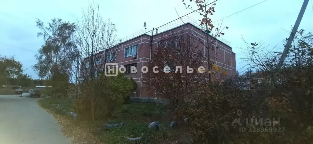 3-к кв. Рязанская область, Клепиковский муниципальный округ, д. ... - Фото 1