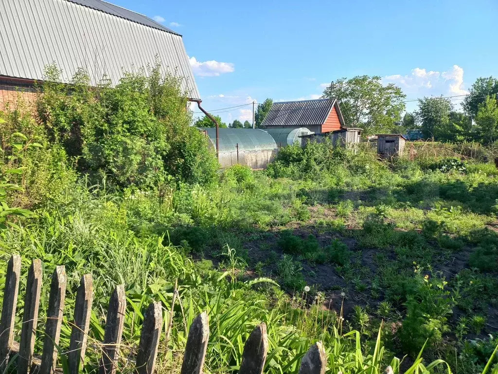 Участок 3 сот. (СНТ, ДНП) - Фото 1