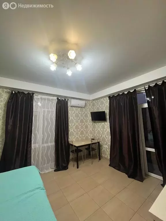 Квартира-студия: Сириус, Ружейная улица, 21 (28.5 м) - Фото 2