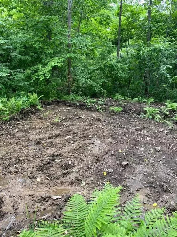 Участок в Приморский край, Артем Южное СНТ,  (9.94 сот.) - Фото 1