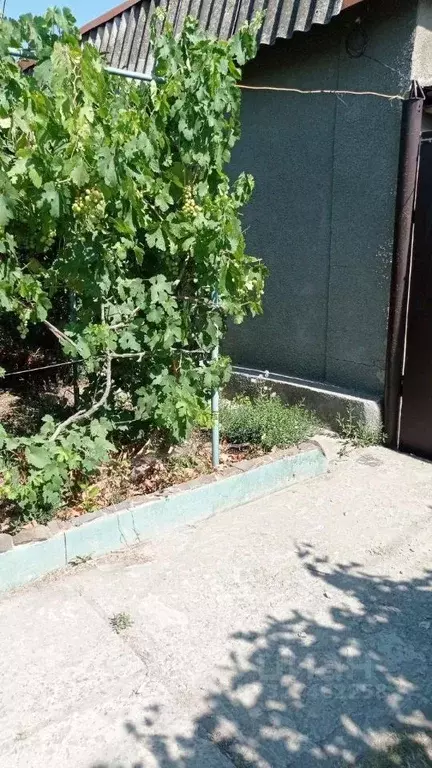 Комната Ростовская область, Таганрог Пролетарская ул. (15.0 м) - Фото 2